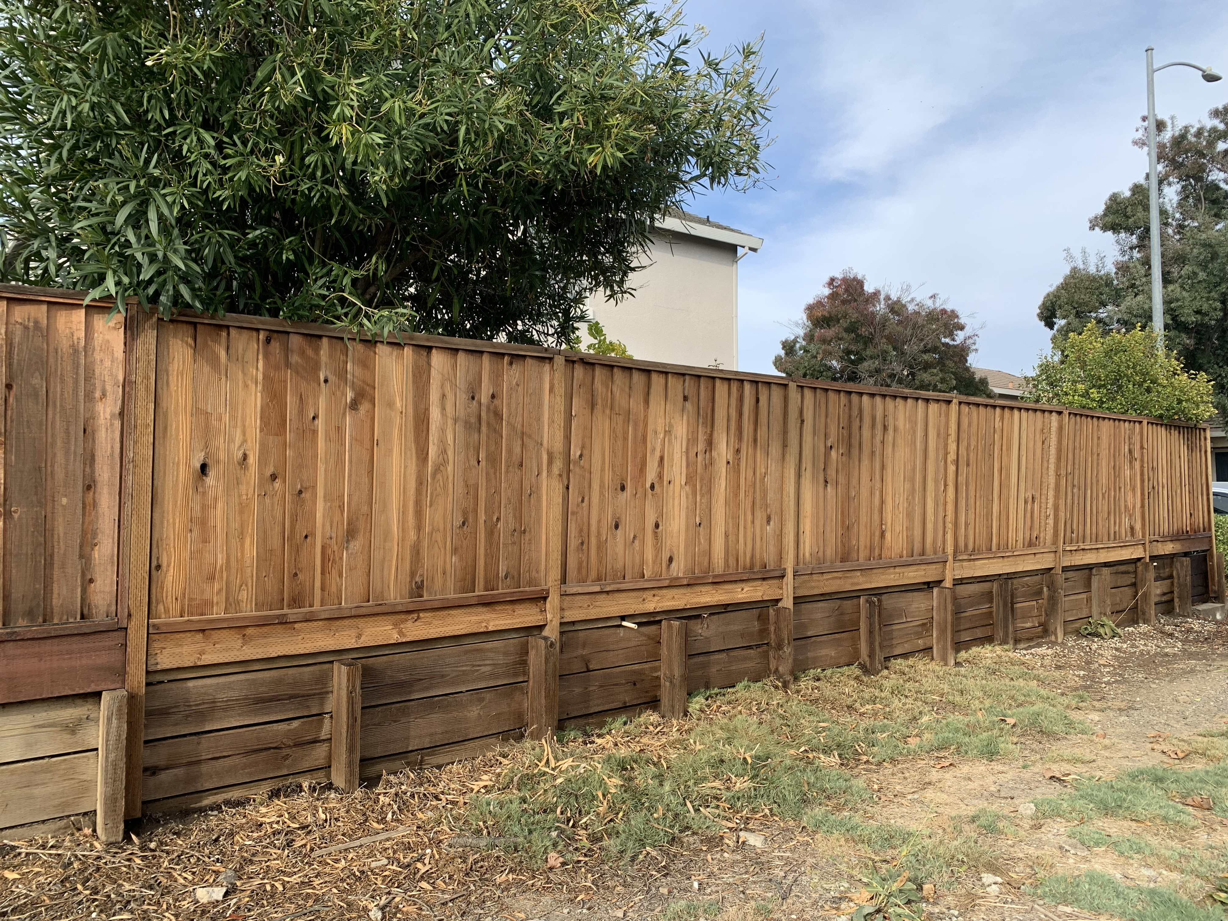 After cleaning — Milpitas fence full run cleaned before stain application